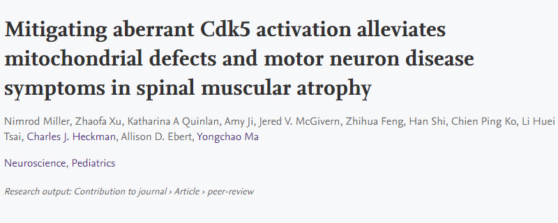 導(dǎo)致脊髓性肌萎縮癥(SMA)運(yùn)動(dòng)神經(jīng)元退化的新機(jī)制