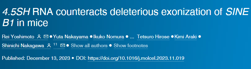 4.5SH RNA對抗小鼠SINE B1的有害外顯子作用