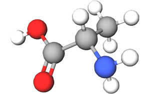 一個與血糖和睡眠有關的重要氨基酸