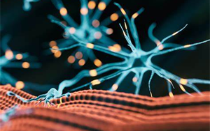 研究發(fā)現(xiàn)，鈣通道阻滯劑是逆轉肌強直性營養(yǎng)不良肌肉無力的關鍵