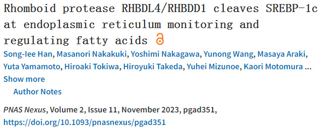 SREBP-1c裂解酶是脂肪酸生物合成的關(guān)鍵角色