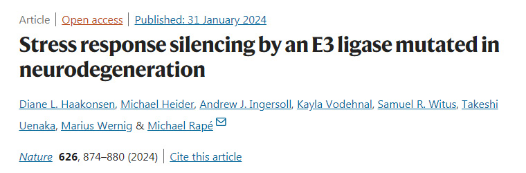 神經(jīng)退行性病變E3連接酶突變引發(fā)的應(yīng)激反應(yīng)沉默