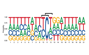6次入院治療！連漫威英雄“金剛狼”都畏懼的這種癌癥，到底因何而起？