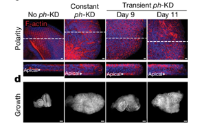 Nature：沒有基因突變，癌癥照樣發(fā)生？！