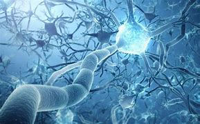 Science：當(dāng)神經(jīng)元向一個(gè)方向流動(dòng)