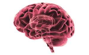 Nature Medicine：重新認(rèn)識(shí)APOE4和阿爾茨海默病