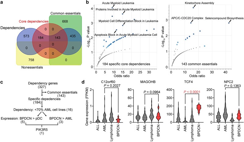 PIK3R5的表達在包括BPDCN的白血病亞群中顯著升高