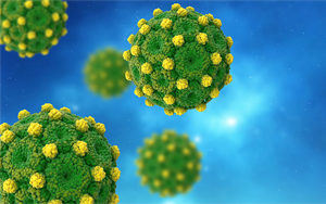 Cell揭示一種前所未見的機(jī)制：乙型肝炎的致命弱點(diǎn)