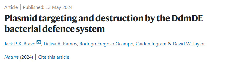 DdmDE細(xì)菌防御系統(tǒng)對(duì)質(zhì)粒的靶向和破壞
