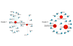 蛋白質(zhì)組學研究發(fā)現(xiàn)重癥COVID-19的血漿標志物