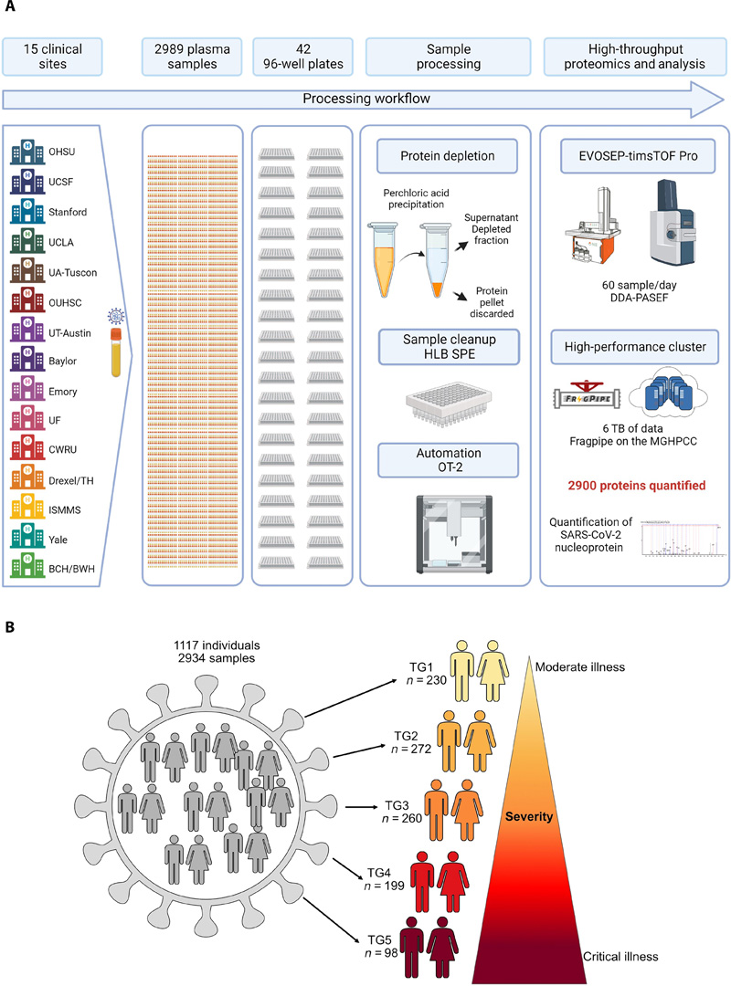 基于高通量LCMS的方法，用于分析數(shù)千個(gè)血漿樣本和隊(duì)列設(shè)計(jì)