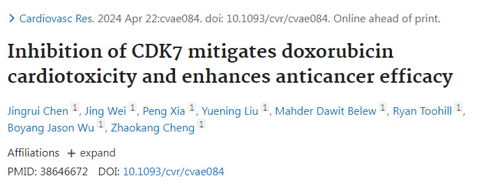 抑制細(xì)胞周期蛋白依賴性激酶7減輕阿霉素的心臟毒性并增強抗癌功效