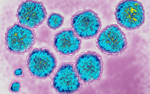 病毒吸收宿主RNA，急性感染可變慢性感染
