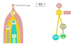 Nature Biotechnology：精確測量癌癥的進(jìn)化，定義分析腫瘤基因組成的最佳算法