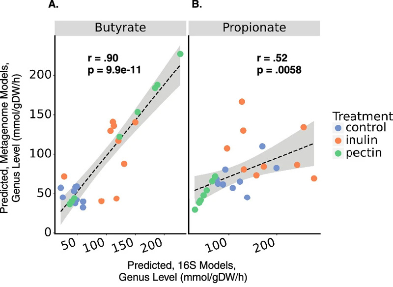 使用16S擴(kuò)增子測(cè)序或鳥(niǎo)槍宏基因組測(cè)序數(shù)據(jù)對(duì)SCFA產(chǎn)生的預(yù)測(cè)顯示出一致性