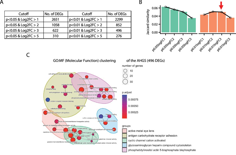 衰老肝細胞基因標記（AHGS）的鑒定和表征