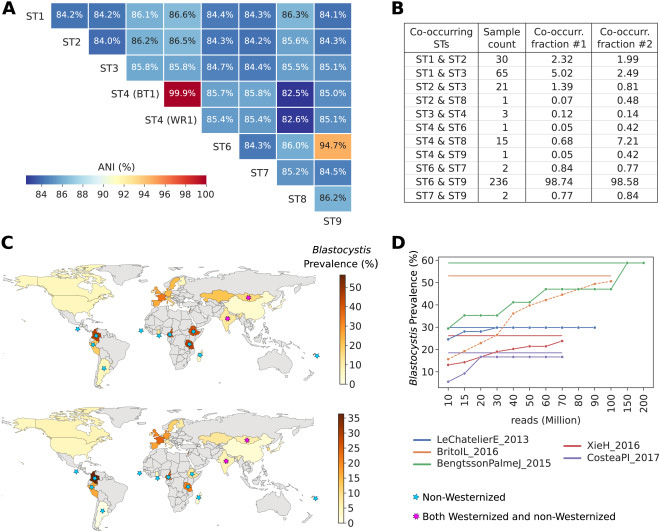 全球芽囊炎的流行率是可變的，僅限于腸道微生物群落