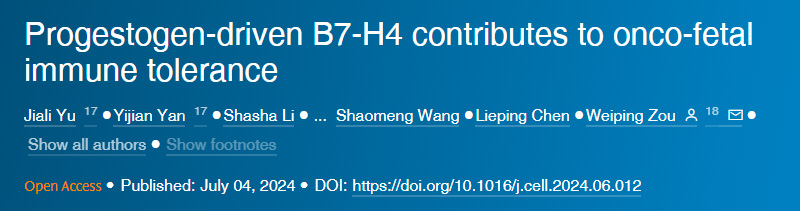 孕激素驅(qū)動(dòng)的B7-H4有助于癌胚免疫耐受