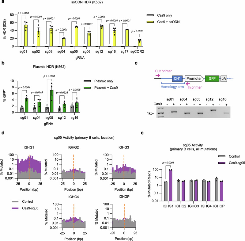 IgH基因座恒定區(qū)基因組編輯的擴展分析