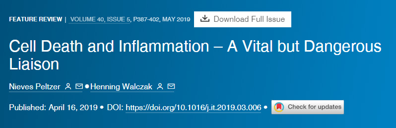 細胞死亡和炎癥重要但危險的聯(lián)系