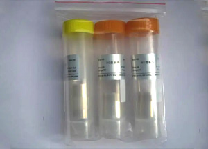 經(jīng)濟(jì)型透析袋，RC膜，14 KD，扁平寬度77 mm