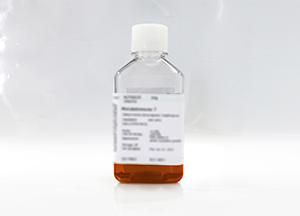 特級(jí)胎牛血清(原代細(xì)胞干細(xì)胞專(zhuān)用)