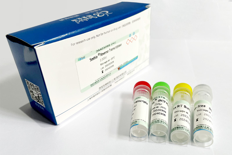 Seebio? sTaq DNA Polymerase (不含dNTP，free Mg2+  Buffer)
