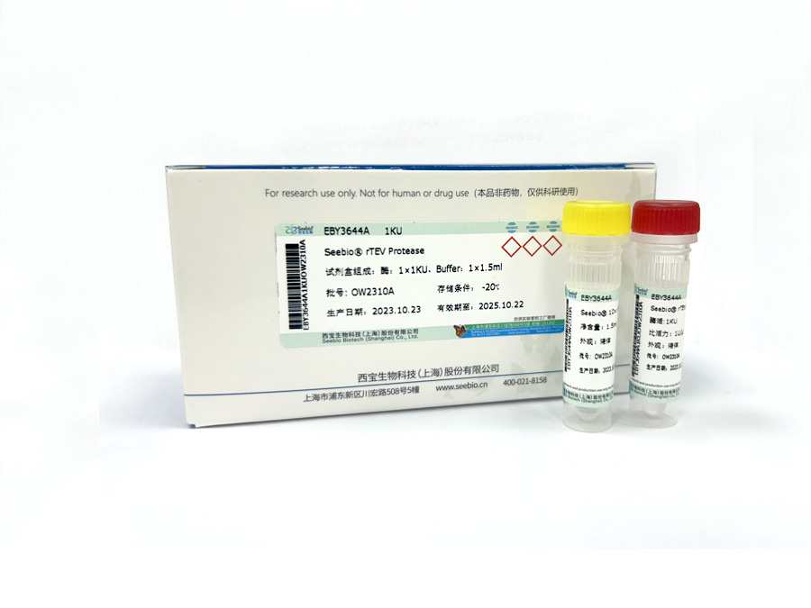 Seebio? 重組煙草蝕紋病毒蛋白酶（TEV酶）