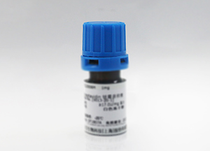 重組CRISPR-Cas13a蛋白