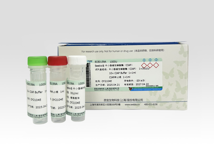 Seebio? 小牛腸堿性磷酸酶（CIAP）