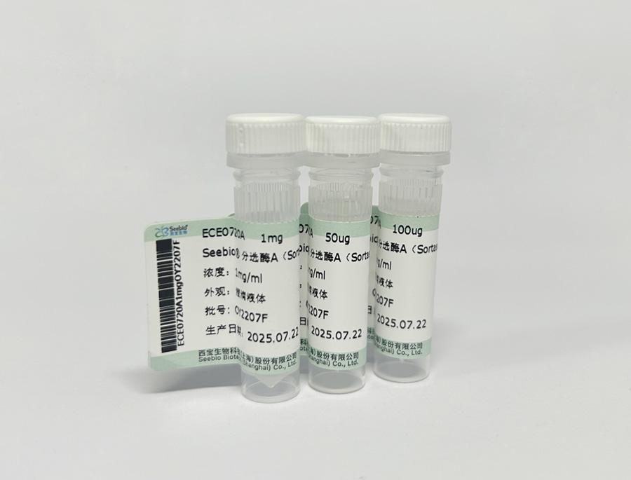 Seebio? 分選酶A(Sortase A) Seebio? 分選酶A(Sortase A)