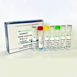 Seebio? 1st Strand cDNA Synthesis Kit