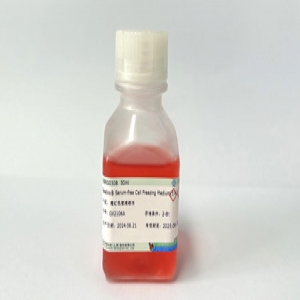 Seebio? 無血清細(xì)胞凍存培養(yǎng)基(1×)