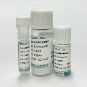 Seebio? 硫酸軟骨素酶AC